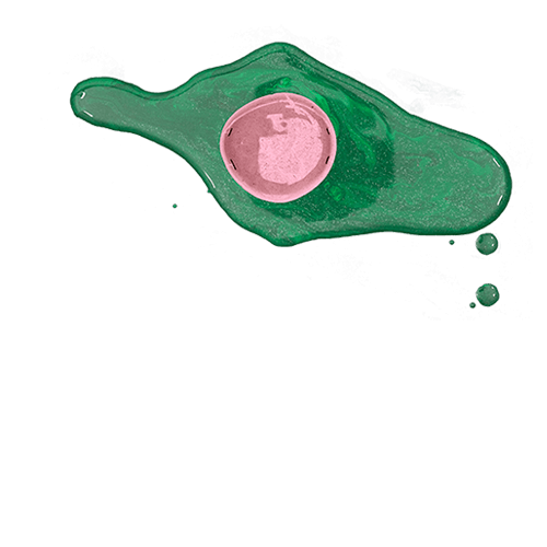 DADALITE